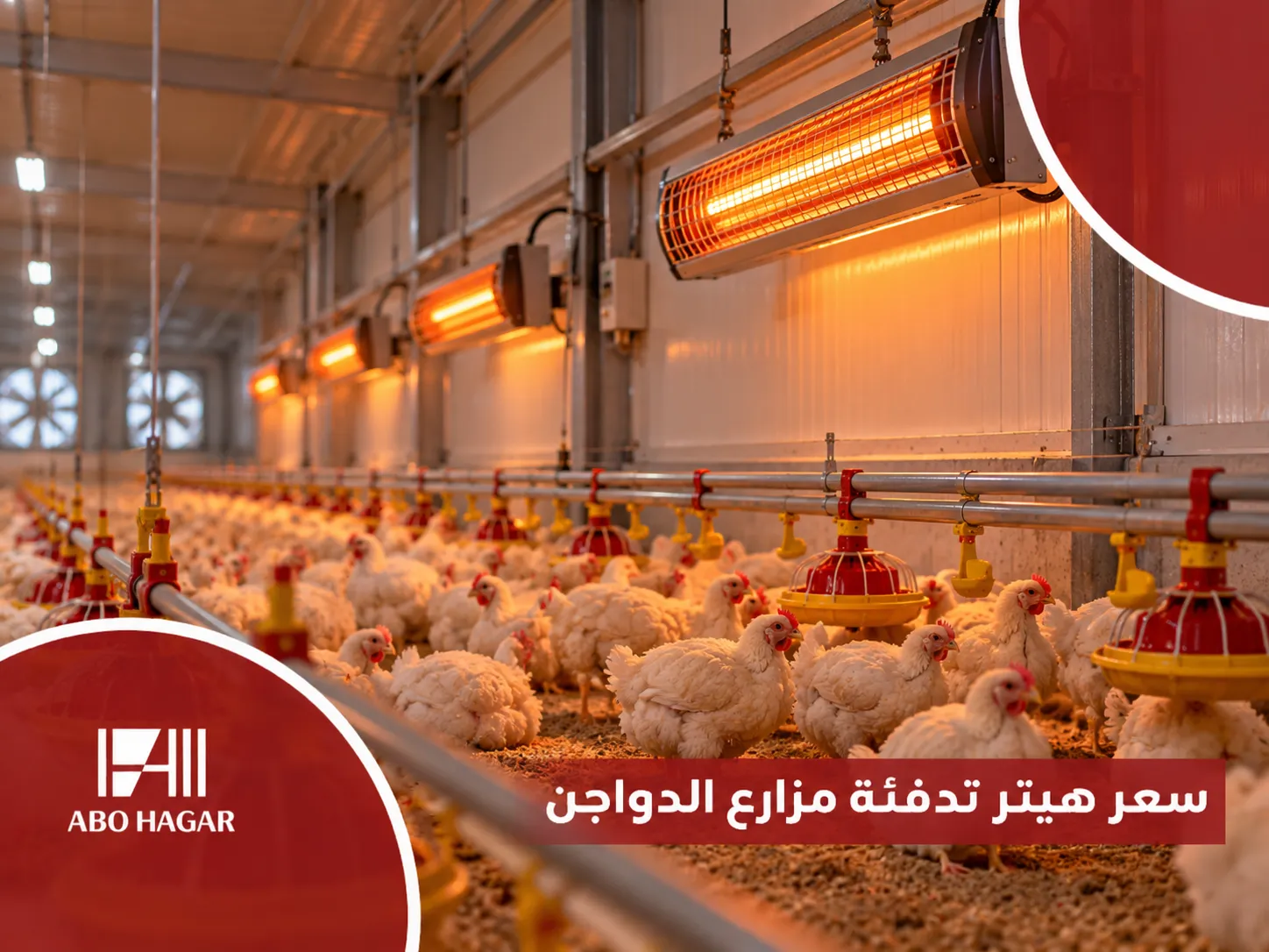 Price of a poultry farm heater