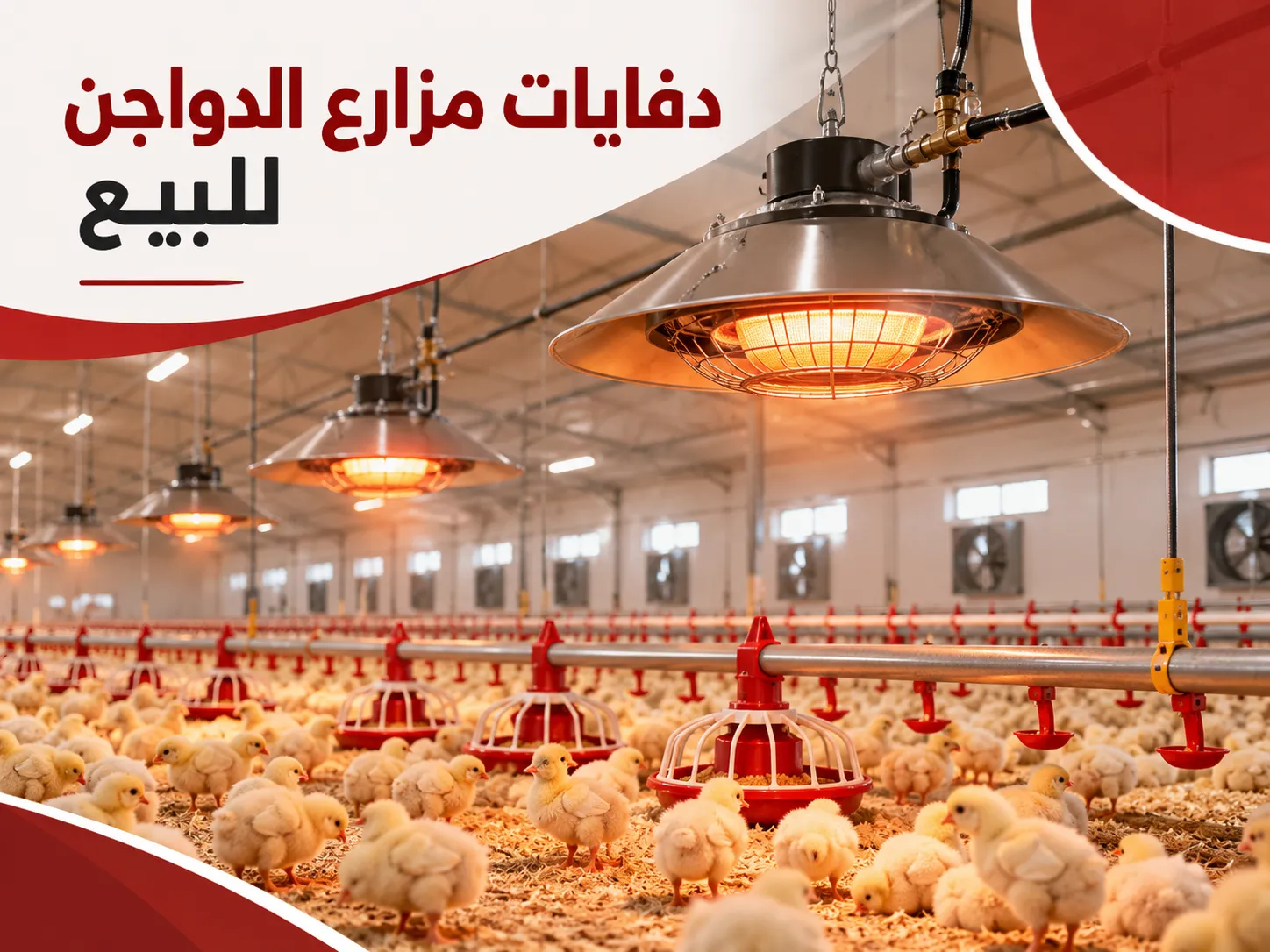 Poultry farm heaters for sale